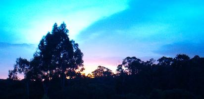 Dawn over trees near maragret river.